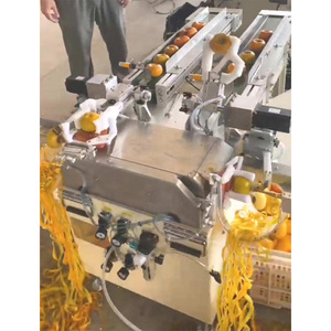 Máquina Peladora de Caquis Automática de Acero Inoxidable de Alta Calidad en Venta - Product Image 3