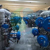 Ligne de production automatique de maltitol à broyage fin YUAN avec systèmes d'échange d'ions continu et d'évaporation, capacité personnalisable