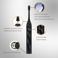 Brosse à dents électrique sonique pour adultes, chargement USB de type C, longue autonomie, étanche IPX7, avec 2 têtes de brosse pour les voyages et la maison