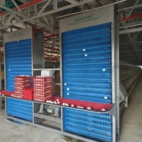 Projet clé en main : Cage à poules pondeuses de type A à 3/4 niveaux avec système de ventilation automatique pour 20K oiseaux, ferme avicole