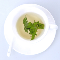Vente en gros de feuilles de menthe verte séchées de marque CCG et de thé aux herbes de menthe poivrée en vrac, thé minceur et santé en sachets, boîte ou bouteille