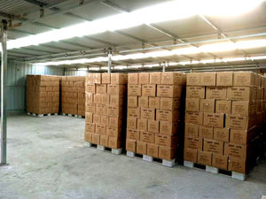 Hoge Kwaliteit Bopp Zelfklevende Sticker Water Geactiveerde Hotmelt Groothandel Verpakking Voor Lage Prijs Marktgebruik Voor Kartonnen Afdichting - Product Image 4