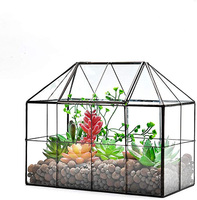 Terrarium en verre clair, grande table, Terrarium plante succulente, verre transparent, livraison directe
