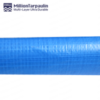 Bâche en PE bleue, matériau de base en plastique, Corée, 2m x 100m, rouleau de bâche en PE double face, imperméable, rouleaux de bâche tissée en PE