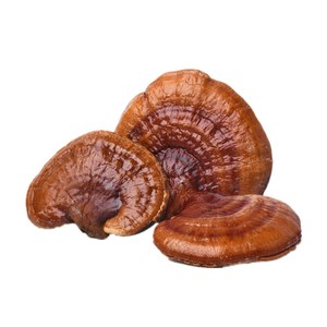 Hữu Cơ/ISO/Halal/Kosher/BRC Chứng Nhận Lingzhi 30% Polysacchardies Hữu Cơ Reishi Nấm Chiết Xuất Bột - Product Image 6