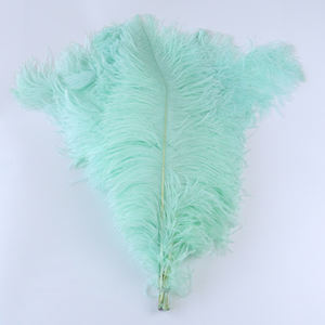 Plumes d'autruche colorées, 1 pièce, 65-70cm, Plumes naturelles, pour décoration de carnaval, <span class=keywords><strong>mariage</strong></span>, fête à domicile, vente en gros - Product Image 3