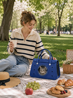 Sac de transport portable pour chat, respirant et pliable, approuvé par les compagnies aériennes, sac à dos de transport pour animaux de compagnie, fabricant OEM ODM