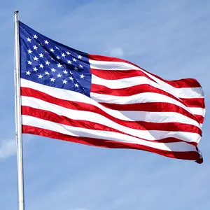 Boyut amerikan baskılı 3X5 Polyester afganistan ulusal İngiltere irak mısır özel brezilya ulusal bayrak