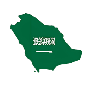 代理装运公司进口门到门货物供应商产品海运到沙特阿拉伯供应商物流服务 - Product Image 1