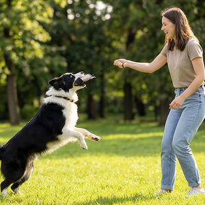 Juguete Interactivo para Perros Muker, Juego de Juguetes Masticables para Perros, Color Personalizado con Logotipo, Piel Sintética Duradera, Tamaños S/M/L, Uso en las 4 Estaciones para Deportes al Aire Libre - Product Image 3