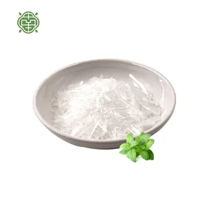 NQ Health 6%-98%Agriculture Food Fruit Drink Power Mentha Piperita Leaf Extract Natural Preservative