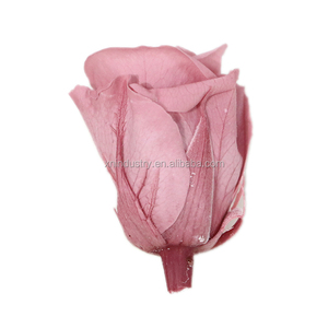 <span class=keywords><strong>Rosas</strong></span> <span class=keywords><strong>Preservadas</strong></span> <span class=keywords><strong>Mini</strong></span> al por Mayor de Fábrica de Kunming, <span class=keywords><strong>Rosas</strong></span> Eternas de Larga Duración Hechas con Flores Reales para el Día de San Valentín - Product Image 4