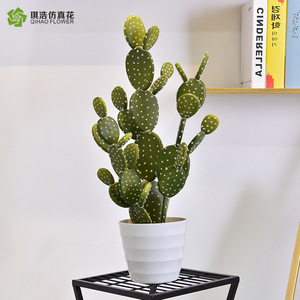 Planta de Cactus Artificial QIHAO, Varios Tamaños, Alta Simulación, Decoración Interior, Vegetación Artificial - Product Image 5