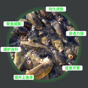 Cebo para Carpa Crucian Lianhuanji 5g, Cebo para Pesca en Río, Fórmula para Carpa Plateada y Carpa Cabeza Grande - Product Image 3