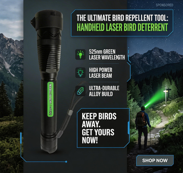 green light portable flashlight, laser handheld laser bird repellent, bird chasing artifact, outdoor adventure camping lighting