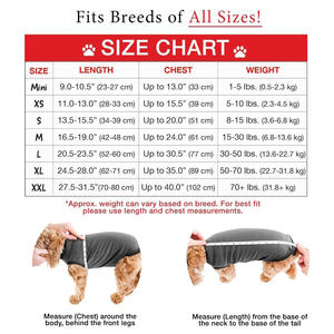 Ropa Postoperatoria para Perros y Gatos, Pantalones Teddy para Golden Retriever y <span class=keywords><strong>Schnauzer</strong></span>, Todas las Temporadas, Europa, Éxito de Ventas Transfronterizo - Product Image 2