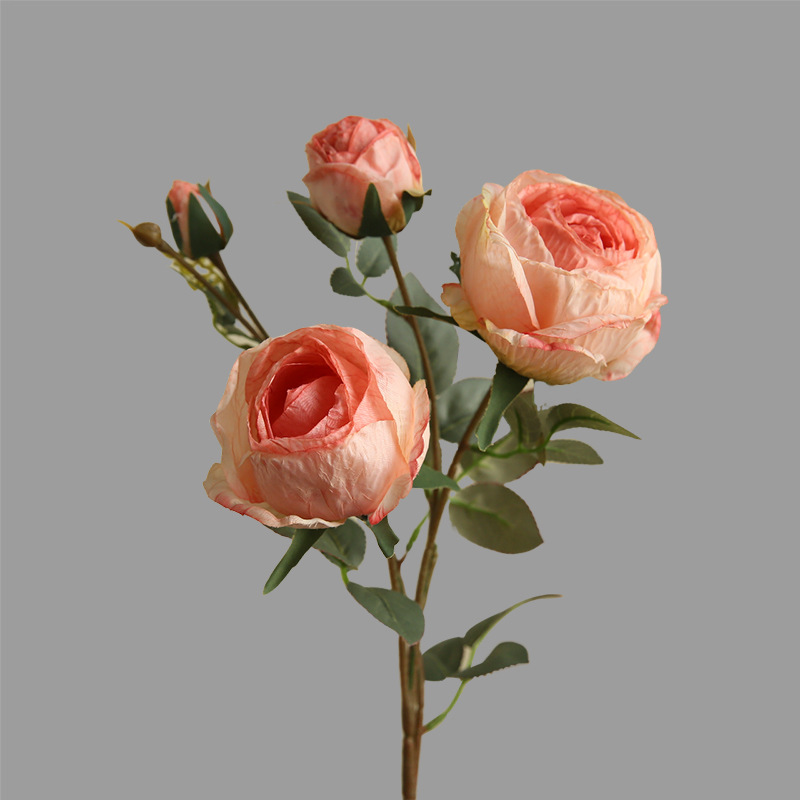 #2 Rosa