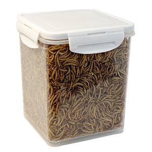 Vers de farine jaunes séchés, riches en protéines, vers séchés pour oiseaux, poissons, nourriture pour animaux de compagnie, insectes comestibles, vers de farine séchés - Product Image 3