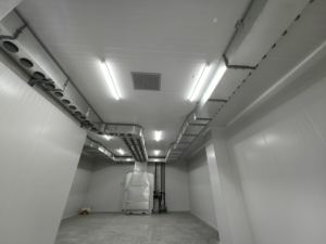 Ligne de production de salami PANCOING équipement de saucisse fermentée contrôle automatique de l'humidité systèmes de salle blanche haute efficacité - Product Image 4