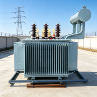 Transformateur de distribution triphasé immergé dans l'huile pour usage agricole et parcs industriels, 50KVA, 80KVA, 100KVA, 125KVA, 6kV, 10kV