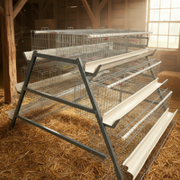 Système d'élevage avicole automatique de type cage à poules pondeuses de qualité fiable pour les élevages de poulets moyens et grands