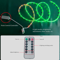 Guirlandes lumineuses LED RGB de Noël, télécommandées, intelligentes, flexibles, pour la décoration de la maison et des fêtes