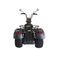 Üç tekerlekli elektrikli şehir Scooter 2024 yeni yükseltme Trike kıyıcı 60V 1000W
