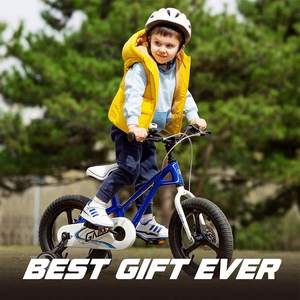 रॉयल बेबी गैलेक्सी बेड़े 14-18 इंच बच्चों की साइकिल उम्र 3-9 साल का प्रशिक्षण व्हील सिंगल स्पीड स्टील फोर्क ब्रेक लाइन - Product Image 6