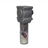 39ZYJ 12/24V 30W Bürstenloser Permanentmagnet-Gleichstrom-Schneckengetriebemotor 20 U/min 20N.m Hohes Drehmoment IP45 Flanschmontage Haushaltsgeräte Ventilator Boot