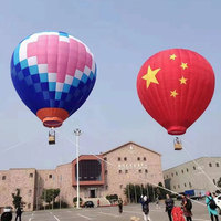 Ballon gonflable de publicité adapté aux besoins du client Ballon à air chaud gonflable commercial décoratif