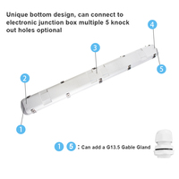 CB SAA Étanche Linéaire Led Batten Lumières IP66 IK08 2ft 4ft 5ft 140lm/w 20W 40W 50W 60W Led Triproof Luminaire