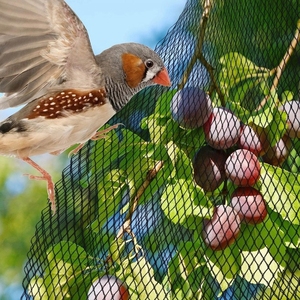 ตาข่ายโพลีเอทิลีนป้องกันละอองนกน้ำหนักเบาตาข่ายป้องกันนกสำหรับฟาร์มและไร่องุ่น - Product Image 1