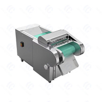 Volautomatische Commerciële Groentesnijder/Multifunctionele Shredder