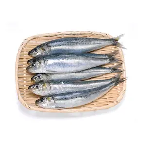 Offre Spéciale fabricant prix WR poisson sardine congelé poisson sardine rond entier pour le marché poisson congelé