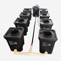 Sistema hidropónico interior automatizado, jardineras holandesas inteligentes con control de nivel de agua