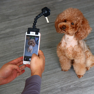 Bâton de selfie pour animaux de compagnie, clip pour friandises pour chat et chien, jouet interactif en plastique noir et blanc, 50g - Product Image 4