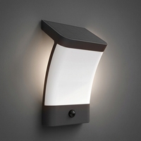 Lampe Murale Solaire IP54 avec Capteur de Proximité Optique, Panneau Monocristallin 0.2W LED 3 CCT, Liaison Indépendante 2.4G, Lampe de Jardin Portée 5-6m
