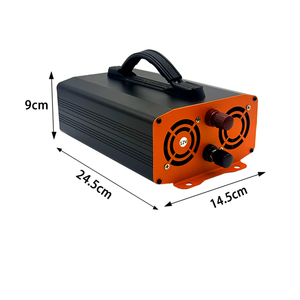 Alimentation solaire hors réseau à onde sinusoïdale pure 800W 1600W, 12V 24V 48V 60V vers AC 220V 50Hz pour voiture et usage domestique – Approvisionnement direct usine - Product Image 3