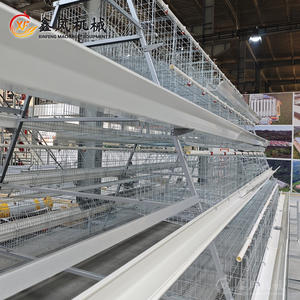 Équipement d'élevage de volaille Cage à poulet un type 10000 couche poulets ferme cage à oiseaux à vendre - Product Image 2
