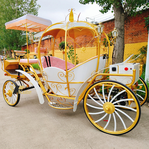 Chariot de Mariage Cendrillon Citrouille Rose Métallique - Transport Spécial à Vendre - Product Image 3
