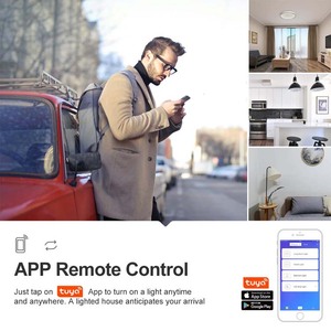 Smart Life 10A WiFi Breaker Switch Alexa Google Smart Home Remote on Off <strong>Relay</strong> Switch With <strong>Timer</strong> Smart Home Tuya Smart Switch - Product Image 5