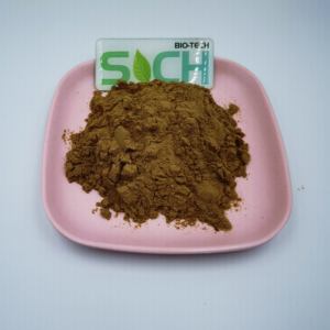 Penjualan Langsung Produsen Ekstrak Kulit Kayu Manis Cinnamaldehyde Polifenol Kayu Manis Ekstrak Kulit Kayu Manis Alami - Product Image 4