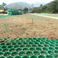 Grille de pavage en plastique HDPE 500*500*48mm pour allées de gravier industrielles / gazon, idéale pour les terrains de golf et les fermes