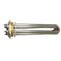 Calentador de inmersión de agua caliente personalizado, Elemento usado para calentadores de tanque, 12v, 24v, 48v, novedad de 2021