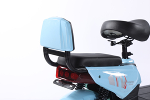 Phổ biến nhất tùy chỉnh mẫu hai chỗ ngồi xe đạp điện 3 tốc độ 48V 20Ah Xe đạp điện - Product Image 5