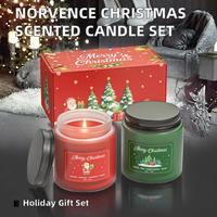 Coffret Cadeau de Bougies Parfumées de Noël, Combustion Propre, Aromathérapie, Parfums Eucalyptus, Sauge, Vanille pour Femmes et Hommes, 100g 200g