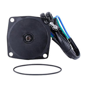 Moteur hors-bord 437801 435532 433226 pour yachts, état neuf, compatible 2 temps et 4 temps pour Omc Evinrude, essence - Product Image 3