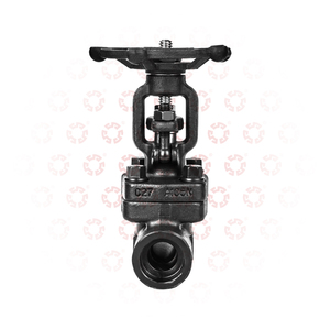 2 인치 3 인치 4 인치 탄소강 800LB C27 A105N 소프트 씰 플랜지 연결 주철 용접 게이트 밸브 - Product Image 4