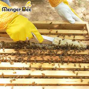 Nouveau produit populaire outils de grattoir d'abeille apicole grattoir à miel de haute qualité - Product Image 4