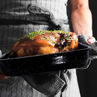 Plat à pâtisserie personnalisé de 13/15/17 pouces, vente chaude, ustensiles de cuisson, émail profond, plat à pâtisserie pour dinde